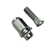 Adapt to Golden Cup Pavilion Reese Golden Cup Sea Lion Aluminum Alloy Steel Rim Tire Screw Montpac T