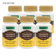 กระชายขาว Finger Root Extract X 6 ขวด The Nature สารสกัดจากกระชายขาว เดอะ เนเจอร์ บรรจุ 60 แคปซูล
