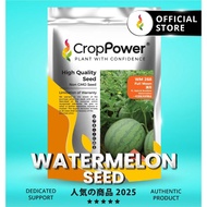 (200 GRAM) Biji Benih Tembikai Boci Full Moon 满月 WM268 CROP POWER F1 Hybrid Seedless Watermelon Seed