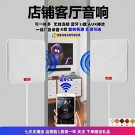 Ceiling Conference Room Speaker Hanging Audio Wall Hanging Commercial Commercial Gym Speaker