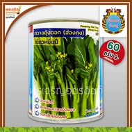 เมล็ดพันธุ์ ผักกาดกวางตุ้ง กวางตุ้งดอกฮ่องกง เขียวหมื่นปี (ขนาด 60 กรัม) เมล็ดกวางตุ้งดอก เมล็ดพันธุ