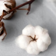 Aj Lee Love Biles Lightweight And Stylish Custom Round Neck T Shirt