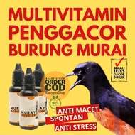 Vitamin Burung Murai Batu Trotolan / Vitamin Burung Murai Batu Pastol / Vitamin Burung Murai Batu Op