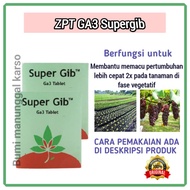 ZPT GibGro Giberelin Acid (GA3) 10 SP