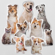 Custom Pillow Double Sided / Custom Cat Pillow / Custom Dog Pillow /Custom Pet Pillow / Customised B