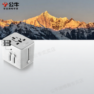 Bull | Travel European Standard Adapter Plug