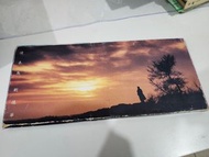 劉德華 Andy Lau 情未鳥 CD