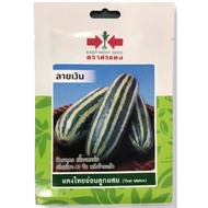 Benih Timun Betik/Thai Melon Hibrid F1 Cap Panah Merah/East West