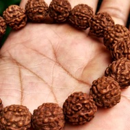 Gelang kesehatan biji genitri Gelang genitri rudraksa gelang biji genitri asli