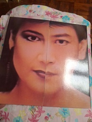 黑膠 射雕英雄傳 羅文 甄妮 LP 黑膠唱片 有歌紙