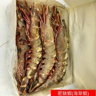 【海鮮7-11】海草蝦(肥豬蝦)  500g克/包  3隻  *巨無霸規格 ， 殼薄肉多