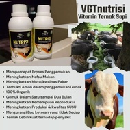 Vitamin Nutrisi Sapi 250 ml - VGT Sapi dan Kambing - Domba - VGT Nutrisi - VGT