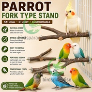 Bird Perch for lovebird Cockatiel perch stand Bird perch wood Parrot perch for lovebirds accessories