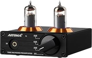 AIYIMA T3 HiFi Tube MM Phono Preamp for Turntable Phonograph Stereo Audio Preamplifier With Gain Adj