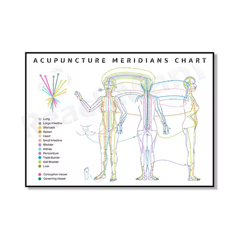 Acupuncture Meridian Diagram, ELEMENTS TCM Poster, Principles and Fundamentals, Acupuncture Art TCM 