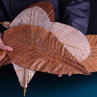 Dried Hoba leaves 1 pack of 20 leaves/Decor sashimi/dried hoba leaves