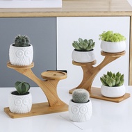 Unique Bamboo Plant Stand-Can Hold 3 Kinds Of Indoor Plants-Multi-Layer Wooden Flower Pot Stand With 2 Assembly Options-Modern Plant Stand In The Middle Of The Century Can Be Used On Your Window Sill, Corner, Table Top Or Shelf.
