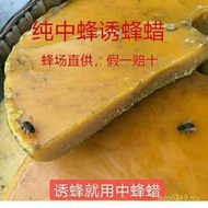 Temptation Bee Field Consultation Customer Service Temptation Beeswax Beeswax Beeswax Medium Beekeep