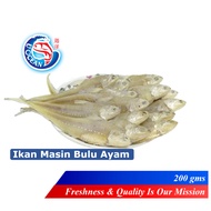 Ikan Masin Bulu Ayam (50 gms - 200 gms)