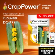 (10 GRAM) Biji Benih Timun Black Steel 铁金刚 DC777 CROP POWER F1 Hybrid Cucumber Seeds 黄瓜种子 DC 777