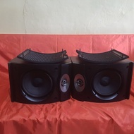 Speaker Bose 301 Series V
