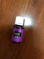Young Living 精油 lavender 薰衣草