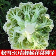 Pine Cauliflower Seeds High-Produced Cauliflower Seeds Cauliflower Seeds Four Seasons Scattered Caul