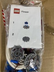 LEGO 6317939 新年桃花 全新