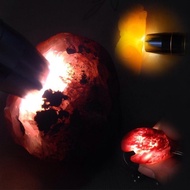 Illuminate Jade Appraisal Illuminate Jadeware See Gem Jewelry Jade Dedicated Strong Light Flashlight