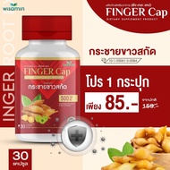 FINGER-CAP กระชายขาวสกัด บรรจุแคปซูล (ฟีงเกอะ แคป) กระชายขาวสกัดบรรจุแคปซูล ผสมมะขามป้อม  1 กระปุก ปริมาณ 30 แคปซูล