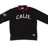 halfzip sweatshirt SAINTPAINT