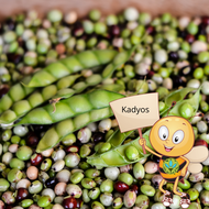 kadyos binhi pantanim  seeds for planting vegetable