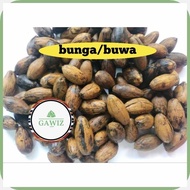 Bunga!U}Buyo=ZP@Buwa_j:Bua%p:Nganga%C:|%a:Betel%P:nuts
