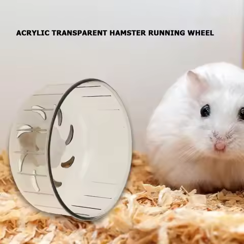 Transparent Hamster Toys Small Pet Running Wheel Treadmill Silent Running Wheels Hamster Toys Hamste