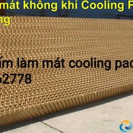 TẤM LÀM MÁT COOLING PAD 60X60 5CM tấm làm mát cooling