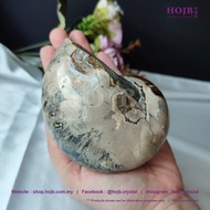 HOJB Madagascar Nautilus Ammonite Shell Feng Shui Ornament 66x98mm(560G) 聚寶軒马达加斯加斑彩鹦鹉螺(菊石)风水摆件66x98m