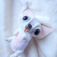 White Chihuahua Teddy Puppy Plush Toy Dog Stuffed Animal Collection Figurine
