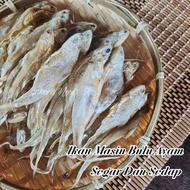 Ikan masin bulu ayam / ikan bulu ayam / ikan nasi lemak / dried food / salted fish / 凤尾鱼 / 咸鱼 / 凤尾