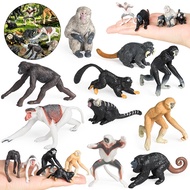 Simulation primate model solid proboscis monkey gibbon Japanese chimpanzee fox monkey ornament set s
