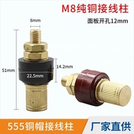 Shop M6M8 Pure Copper Terminal 333/555 Copper Cap High Current Lithium Inverter Wire Pile All Copper
