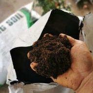 10kg Peat moss holland | tanah Peatmoss | lumut kering | semaian | seedling pot soil |  free peat