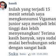 Terbaru Obat Vigamax Asli Suplemen Pria Herbal Vigamax Original