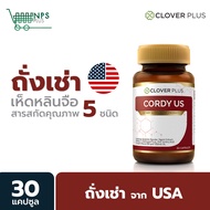 Clover Plus Cordy US ถั่งเช่า ทิเบต วิตามิน ซี วิตามินบี 6 เห็ดหลินจือ 1กระปุก (อาหารเสริม)