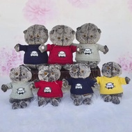 Basik Cat Basic grey kucing mainan Plush Dolls bantal kanak-kanak mainan boneka kucing Plushie kanak-kanak krismas