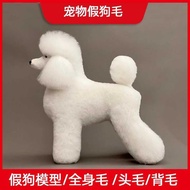 Pet Grooming Practice Fake Hair Bichon Dog Skeleton Dog Model Fake Dog Fluffy Hair Fake Back Hair Do