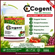 COGENT 500g – Organic Growth Stimulating Powder | Stimulate Roots, Growth, Support Flowering and Fru