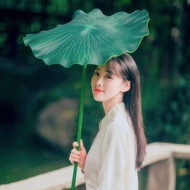 Simulation Lotus Lotus Leaf Lotus Pom Antique Props Hanfu Photo Handheld Lotus New Style Lotus Leaf 