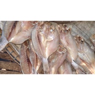 Bekok gelama fish, kelantan version, 2 fish