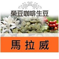 白蜜藝伎 馬拉威 秘蘇庫峰產區 2201批次 每包500公克【榮豆咖啡生豆】精品咖啡豆零售