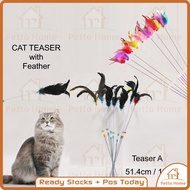 Teaser with  Feather Teaser Cat Interactive Toy Cat Toy Teaser Cats Teaser Feather Stick Toy With Ra